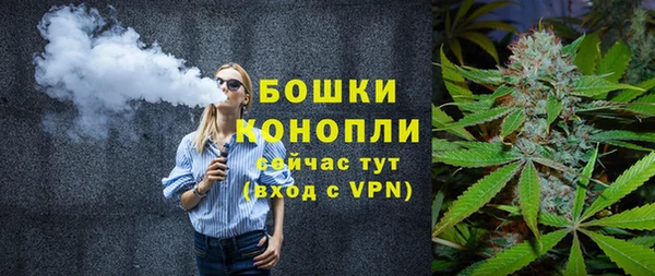 эйфоретик Ладушкин