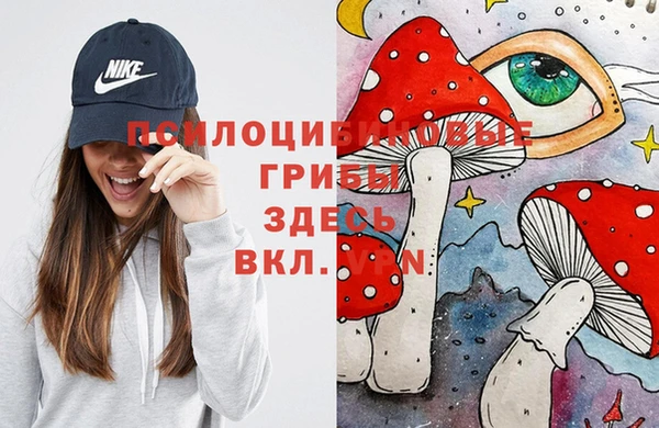 бутират Лагань