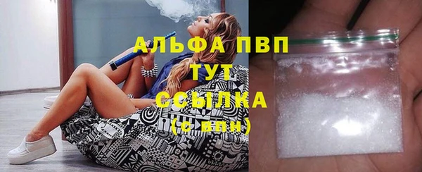 эйфоретик Ладушкин