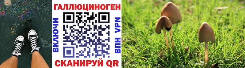 Галлюциногенные грибы прущие грибы  где купить наркоту  Шали 